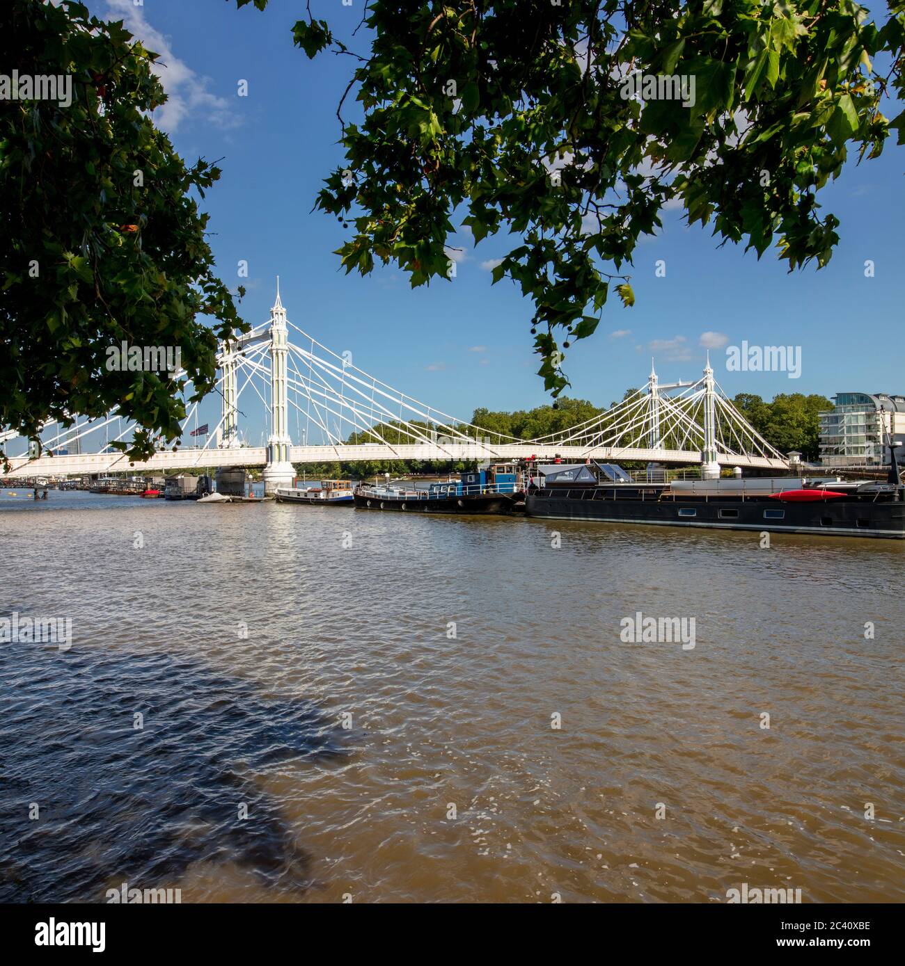 Blick auf die Albert Bridge, London, vom Chelsea Embankment. Entworfen von Rowland Mason Ordish im Jahr 1873, geändert von Joseph Bazalgette, 1887. Stockfoto