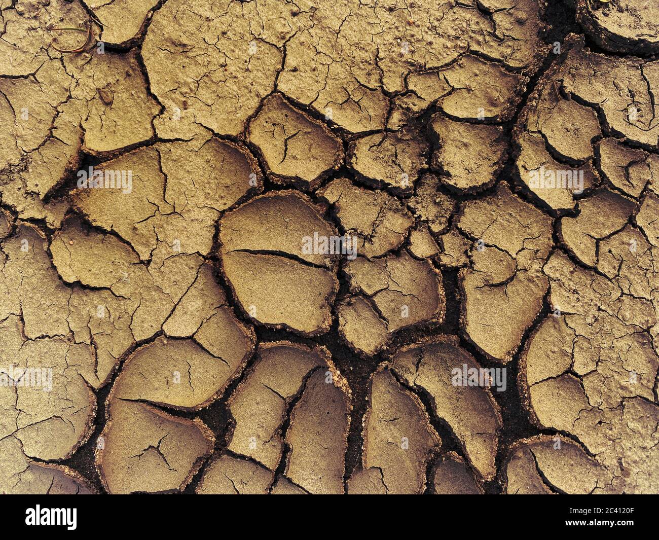 Globale Erwärmung Bodenerosion Stockfoto