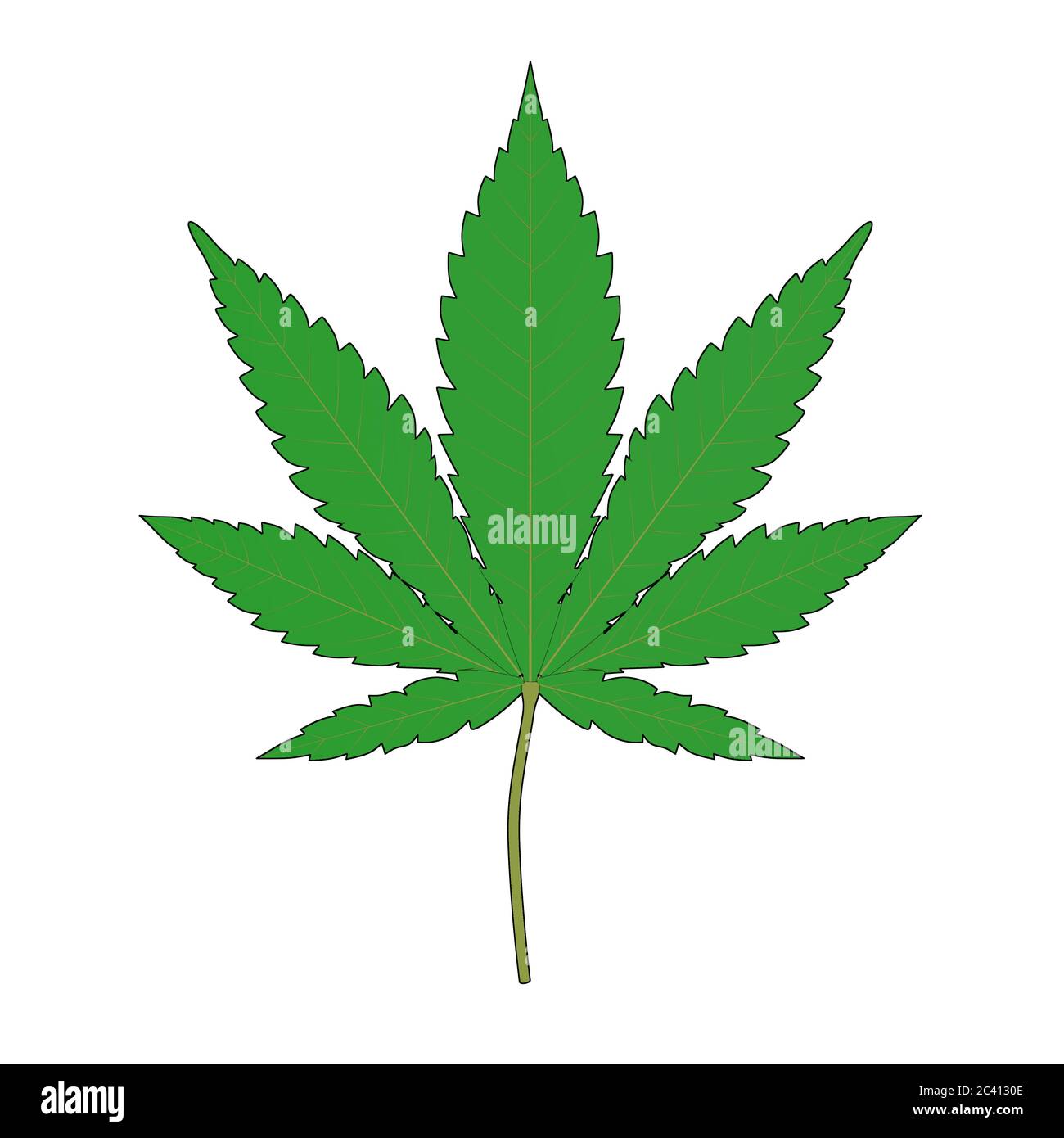 Medizinisches Marihuana oder Hanfblatt in Skizze und Toon-Stil auf weißem Hintergrund. 3d-Rendering Stockfoto