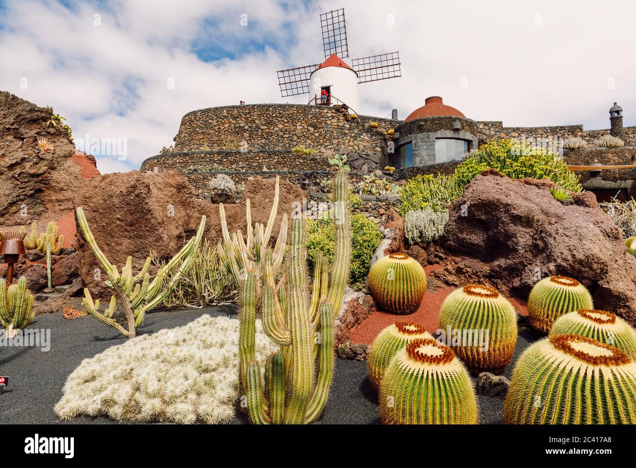 Kaktusgarten und Mühle auf Lanzarote, Kanarische Inseln Stockfoto