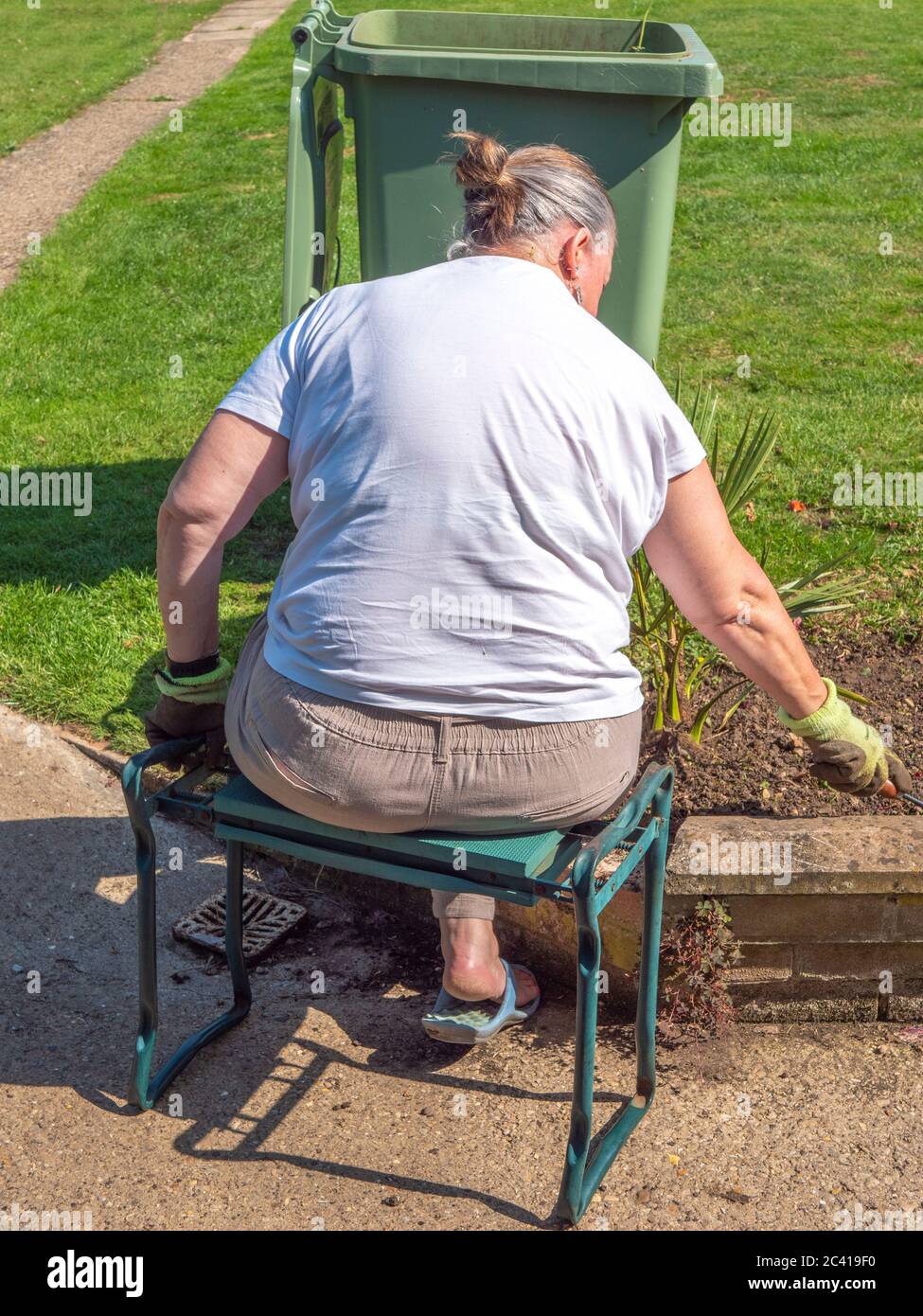 Eine ältere Frau in der Sommersonne, die auf einem gepolsterten Gartensitz sitzt, Handschuhe trägt, während sie einen Fleck Erde jäten, mit einem grünen Behälter davor. Stockfoto