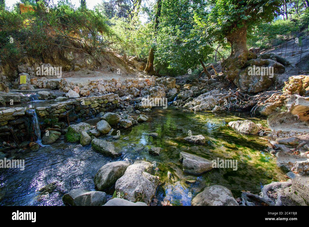 Sieben Wasserquellen (Epta Piges) im Wald bei Kolymbia (Rhodos, Griechenland) Stockfoto