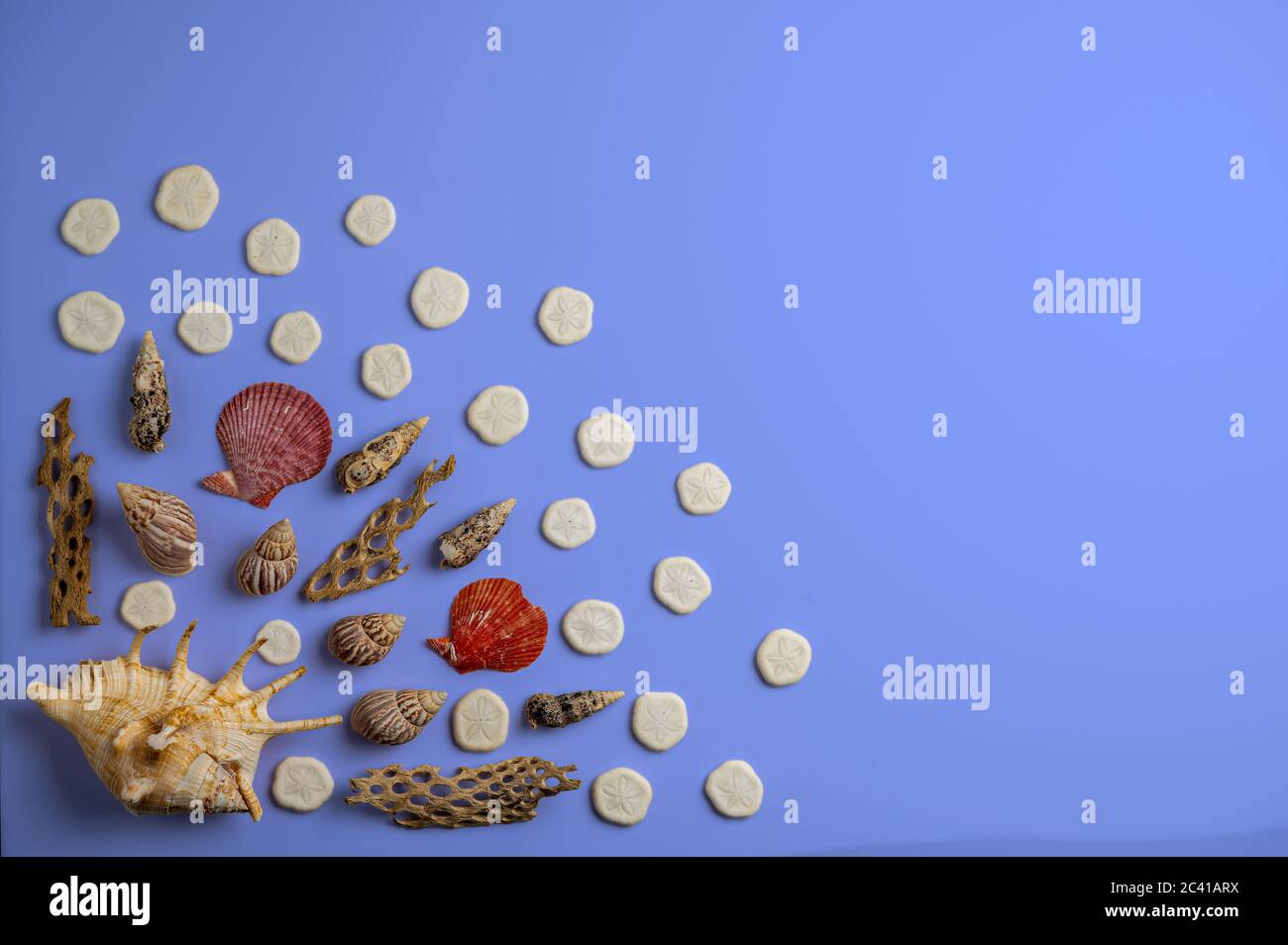 Ozean inspirierte flache Lay bestehend aus Muscheln und Stern Fisch auf Blau Stockfoto