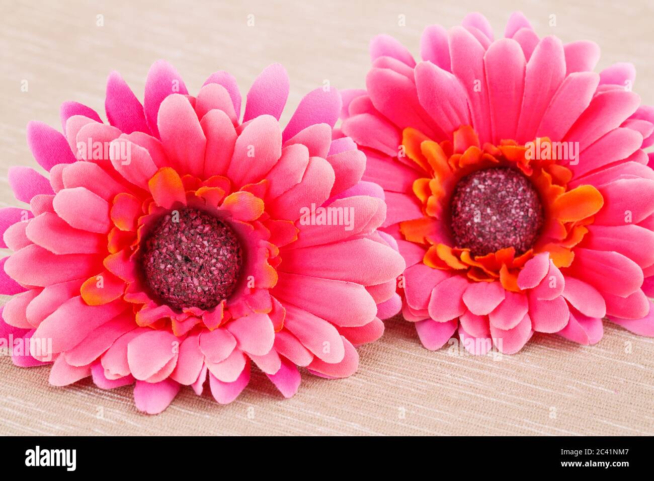 Rosa Stoff Gänseblümchen auf beigem Hintergrund Tuch. Stockfoto
