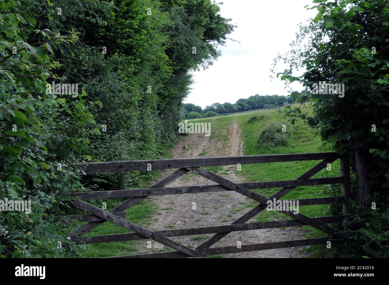 Typische Landschaft bei Burwash im Hochwald von East Sussex. Die Gegend hat viele öffentliche Wanderwege, was es zu einem ausgezeichneten Wander- und Wandergebiet macht. Stockfoto