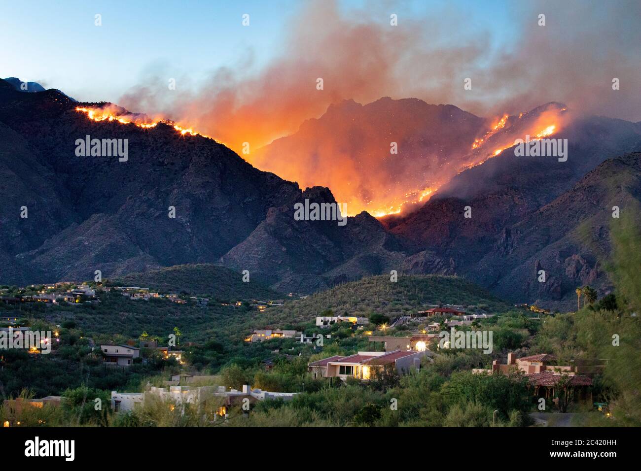 Bighorn Feuer, das in den Ausläufern der Santa Catalina Mountains, Tucson, Arizona, USA, eindringenden und bedrohenden Häusern droht Stockfoto