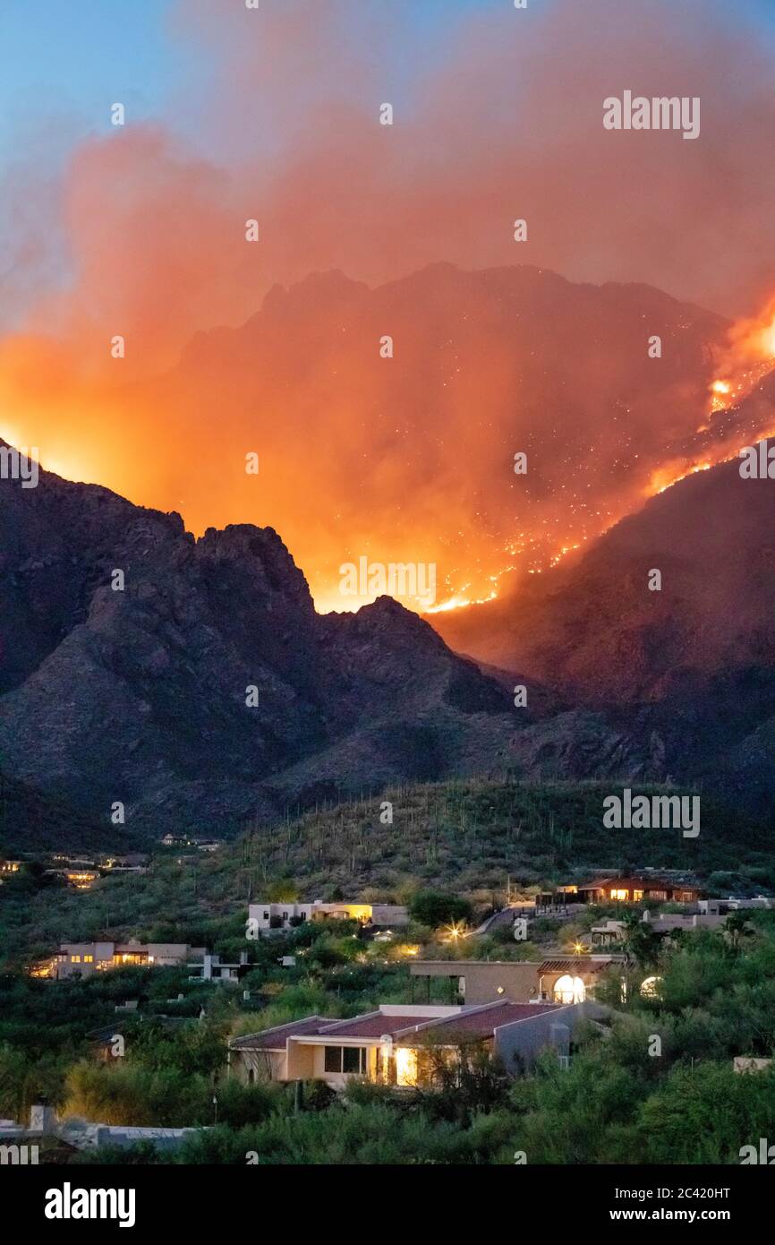 Bighorn Feuer, das in den Ausläufern der Santa Catalina Mountains, Tucson, Arizona, USA, eindringenden und bedrohenden Häusern droht Stockfoto