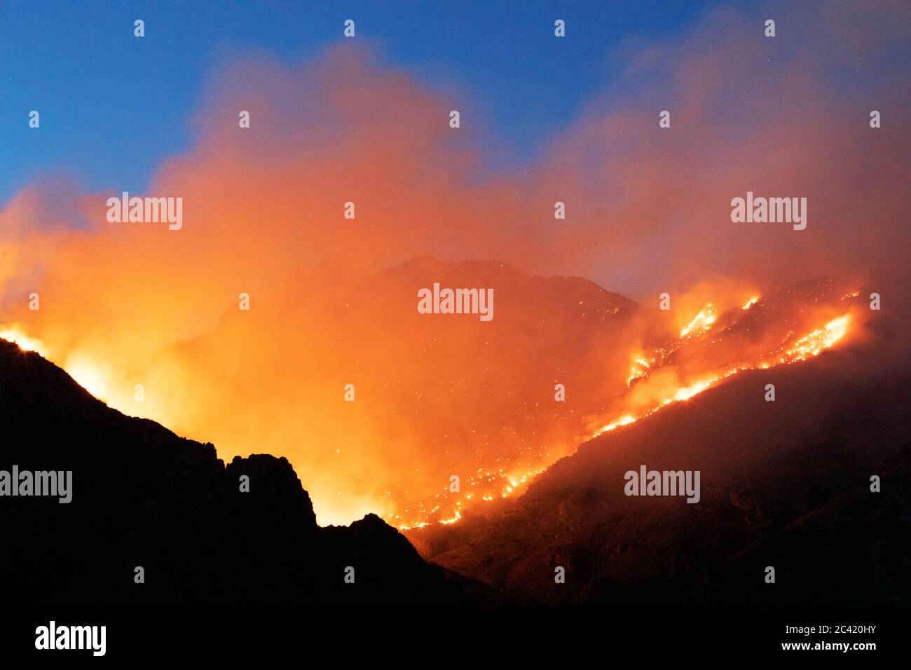 Bighorn Feuer wütet in den Santa Catalina Mountains, Tucson, Arizona, USA Stockfoto