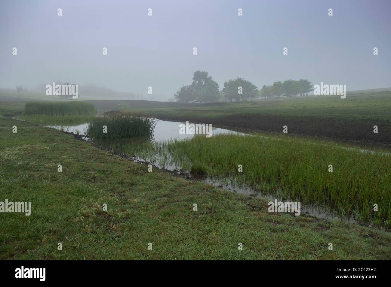 Tarutino Steppe, Oblast Odessa, Ukraine, Osteuropa. März 2019. Morgennebel über dem Fluss Kredit: Andrey Nekrasov/ZUMA Wire/Alamy Live News Stockfoto