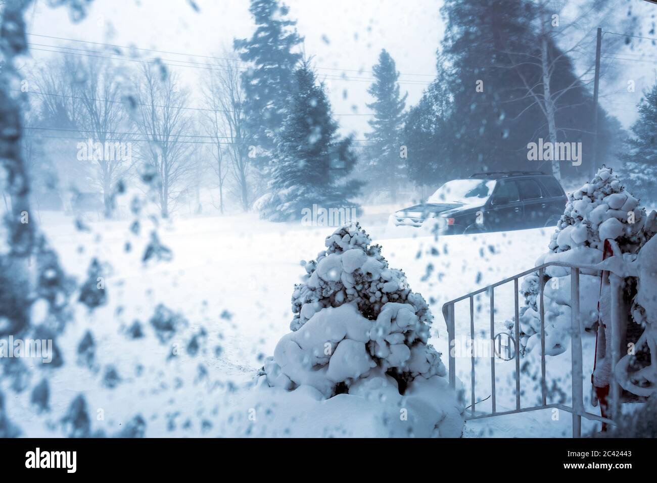 Blick vom Fenster aus, der Schnee und starke Winde zeigt, Meaford; Ontario; Kanada Stockfoto