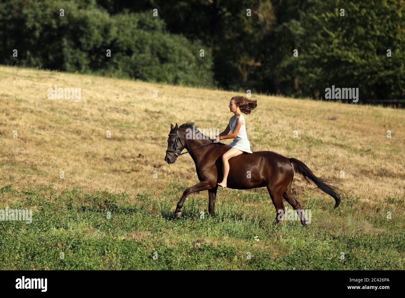 Teenage hübsches Mädchen auf Pony ohne Sattel läuft auf Wiese in heißen Sommernachmittag Stockfoto