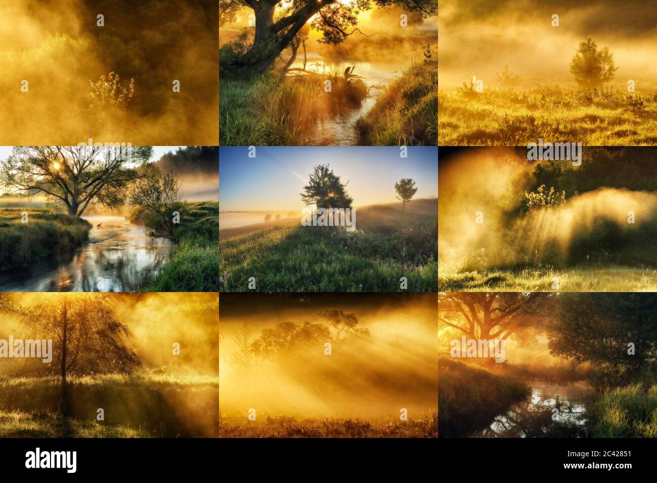 Collage von Frühlingslandschaften. Sammlung von Fotos mit Morgensonne Stockfoto