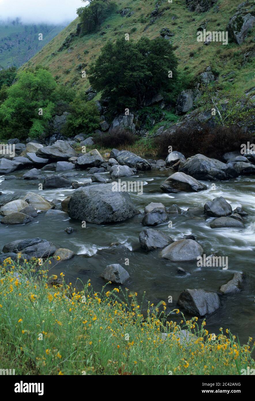 Kern River, Sequoia National Forest, Kalifornien Stockfoto