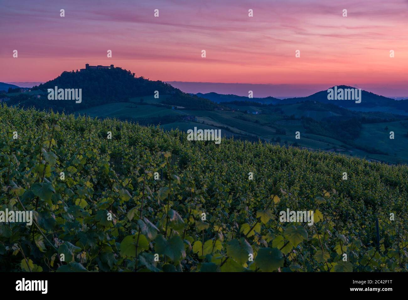 Erstaunlicher roter und violetter Sonnenuntergang über Oltrepo' Pavese Hügeln mit Weinbergen und Landstraßen und Montalto Pavese Schloss im Hintergrund Stockfoto