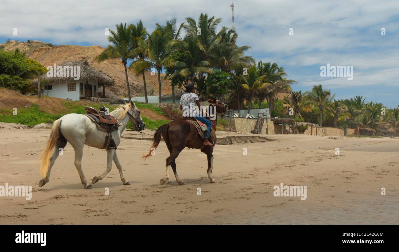 Mancora, Piura / Peru - 8. April 2019: Mann, der tagsüber alleine am Strand mit Palmen im Hintergrund reitet Stockfoto