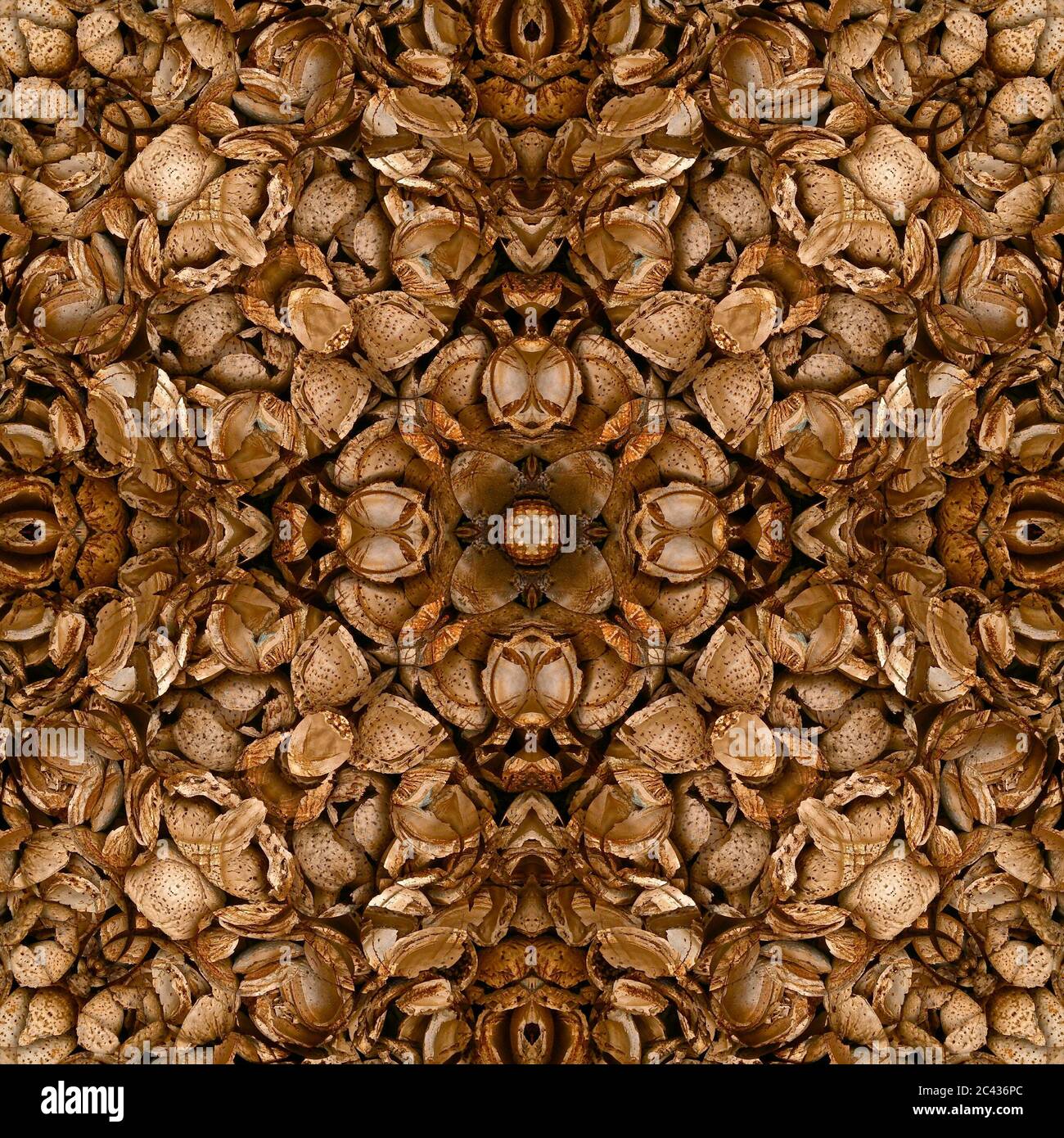 Nahtlose symmetrische Muster abstrakt Nussschalen Textur Stockfoto
