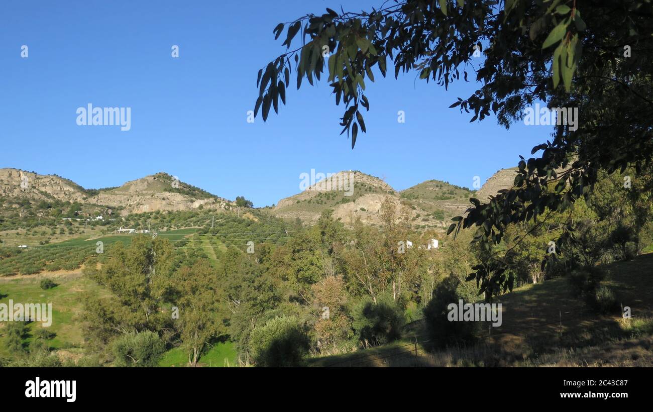 Blick auf fünf Hügel über das Tal bei Alora, Andalusien, Spanien Stockfoto