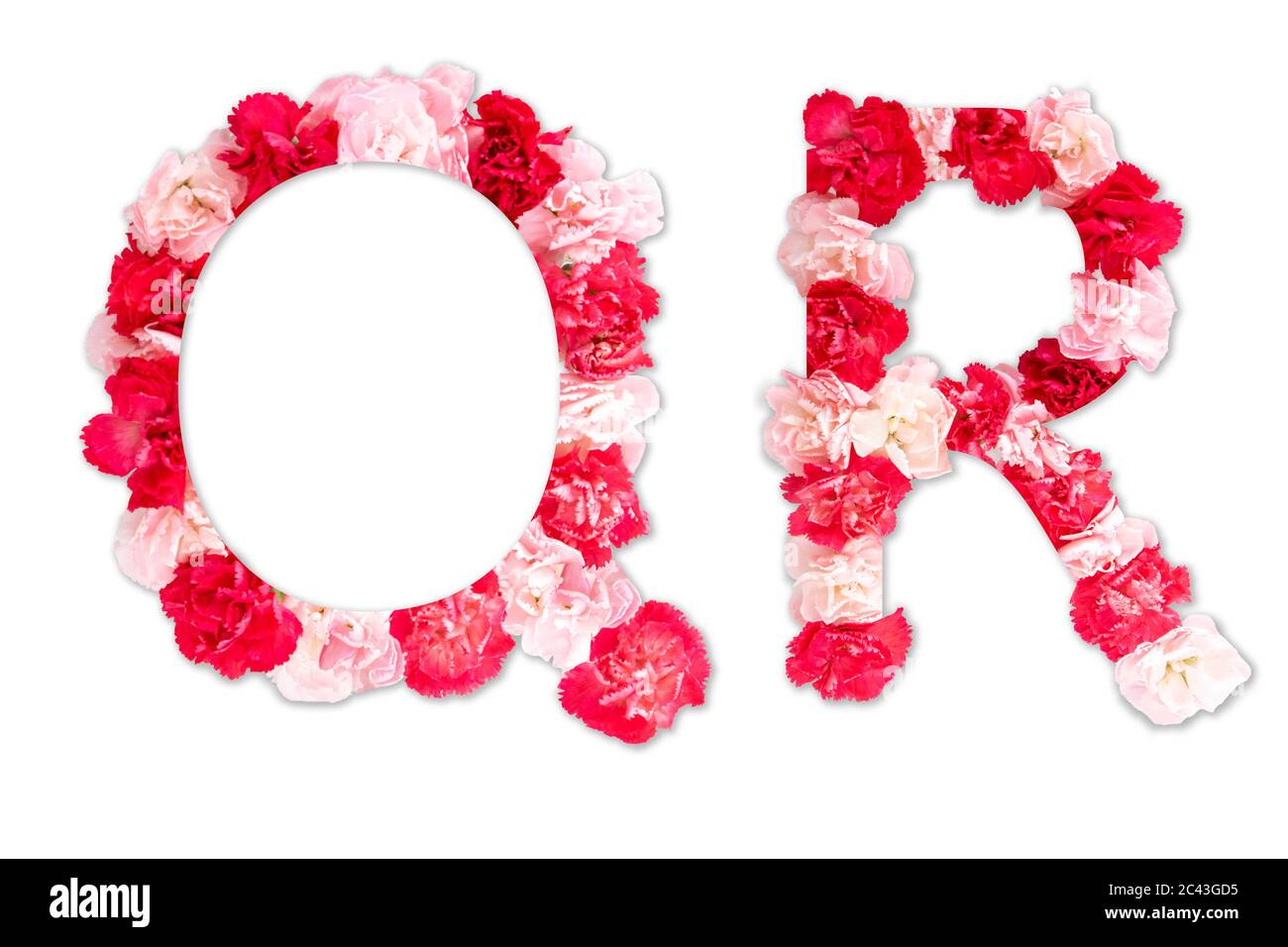 Blumenschrift Alphabet Q R Set (Kollektion A-Z), aus echten Nelkenblumen rosa, rote Farbe mit Papier geschnitten Form von Großbuchstaben. Flora Schrift Stockfoto