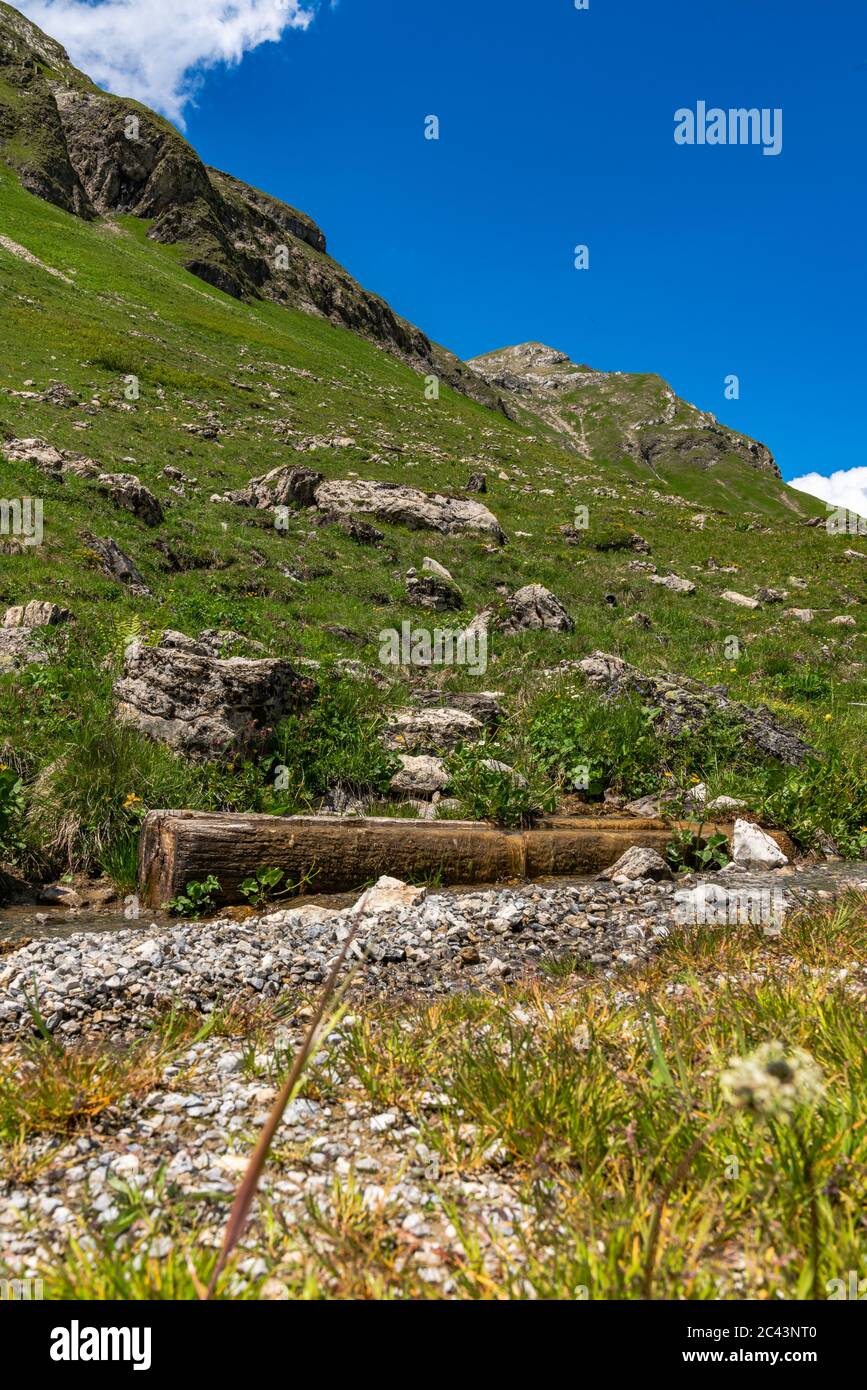 Bäche fliegen vom Karhorn herunter zum Lech, Blumenwiesen freuen sich die Wanderer, Landschaft bei Warth, Lechtal, Vorarlberg, Österreich, blauer Himmel Stockfoto