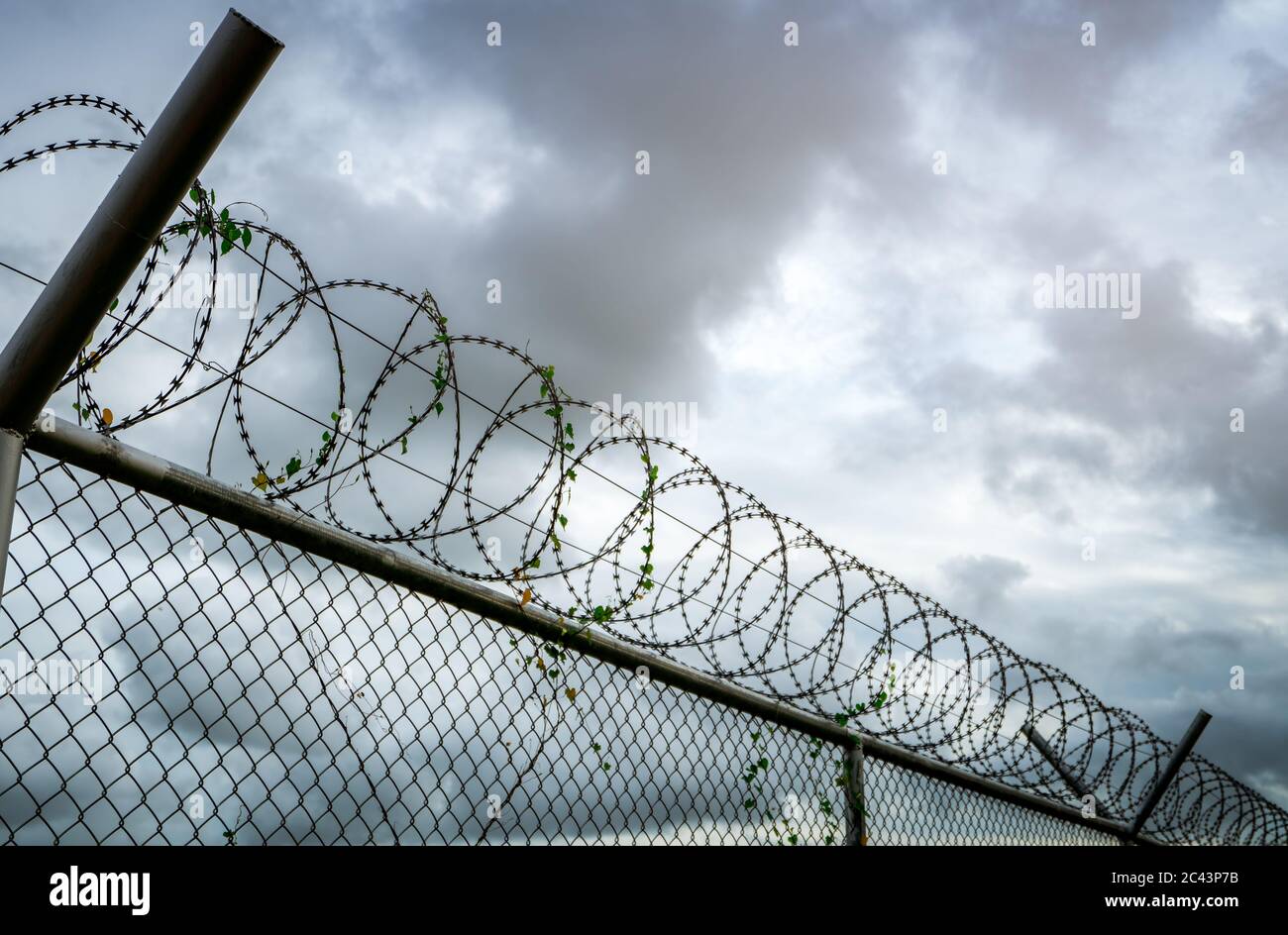 Sicherheitszaun im Gefängnis. Stacheldraht Sicherheitszaun. Stacheldraht Gefängniszaun. Barrierestrand. Grenzmauer zur Sicherung. Gefängnis für Festnahme von Verbrechern. Stockfoto