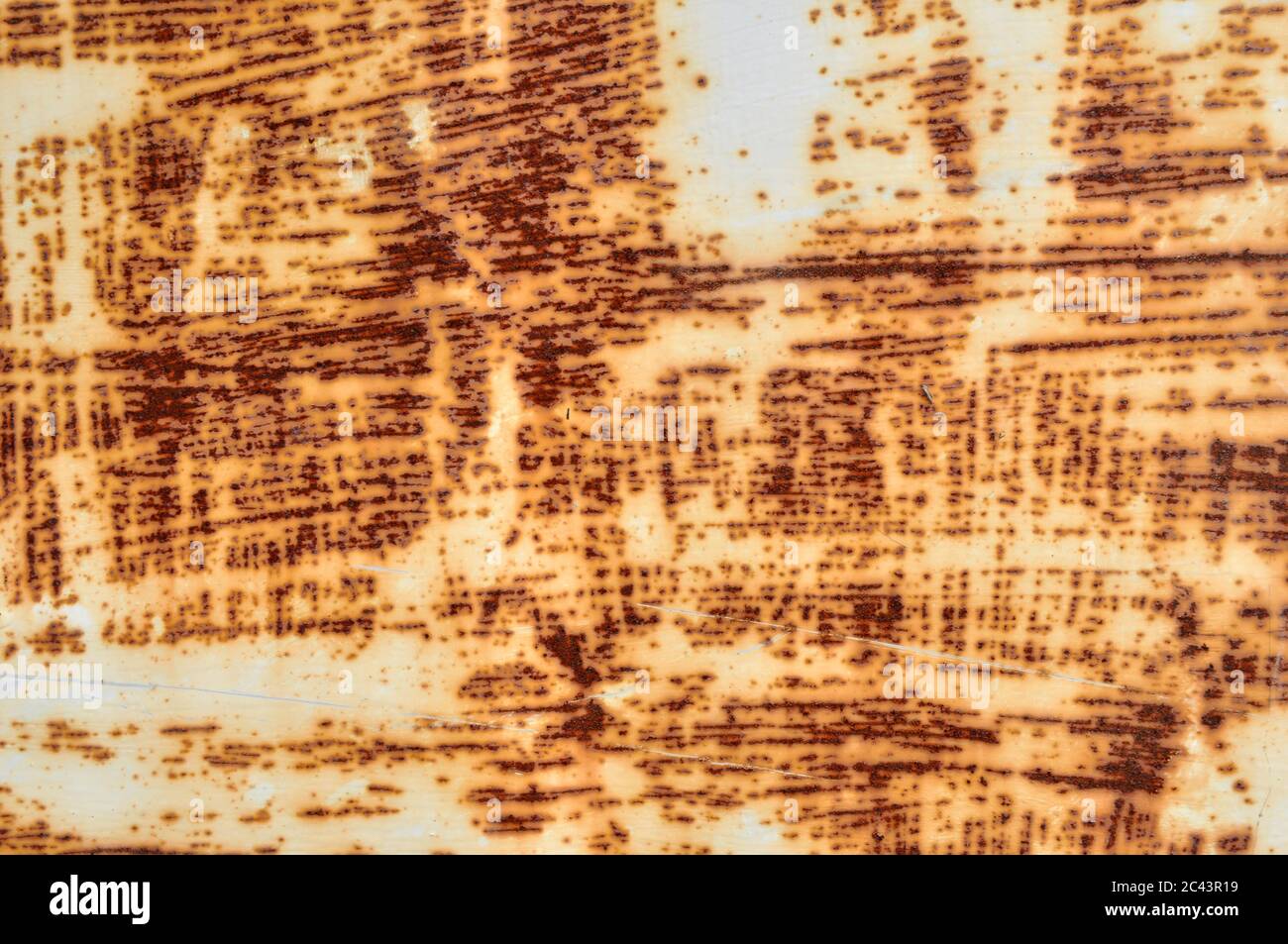 Verrostete weiß lackierte Metallwand. Rostiger Metallhintergrund mit Roststreifen. Rostflecken. Die Metalloberfläche verrostete Flecken. Stockfoto