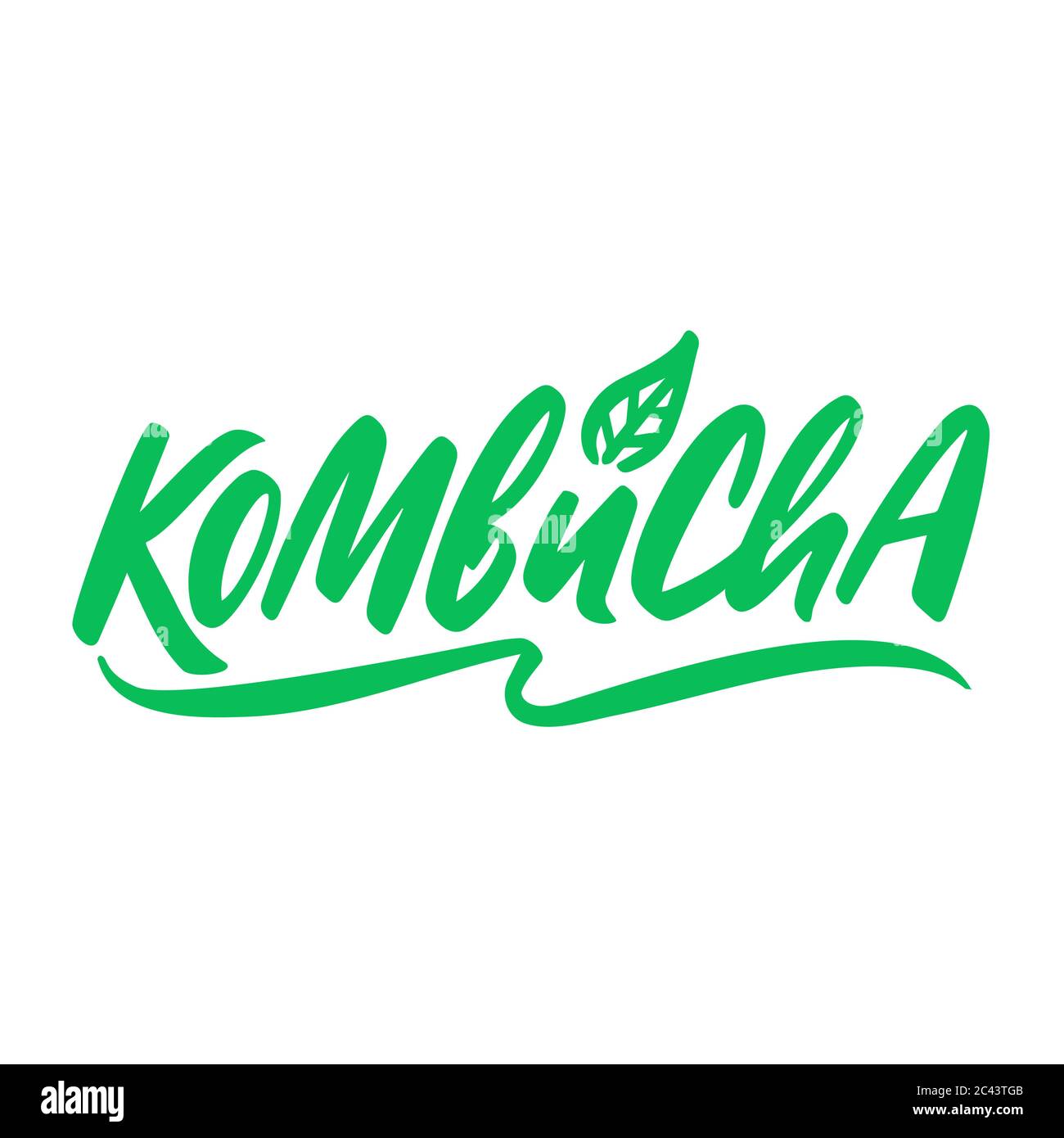 Kombucha handgeschriebenes Vektor-Logo. Kombucha gesund fermentierter probiotischer Tee Stock Vektor