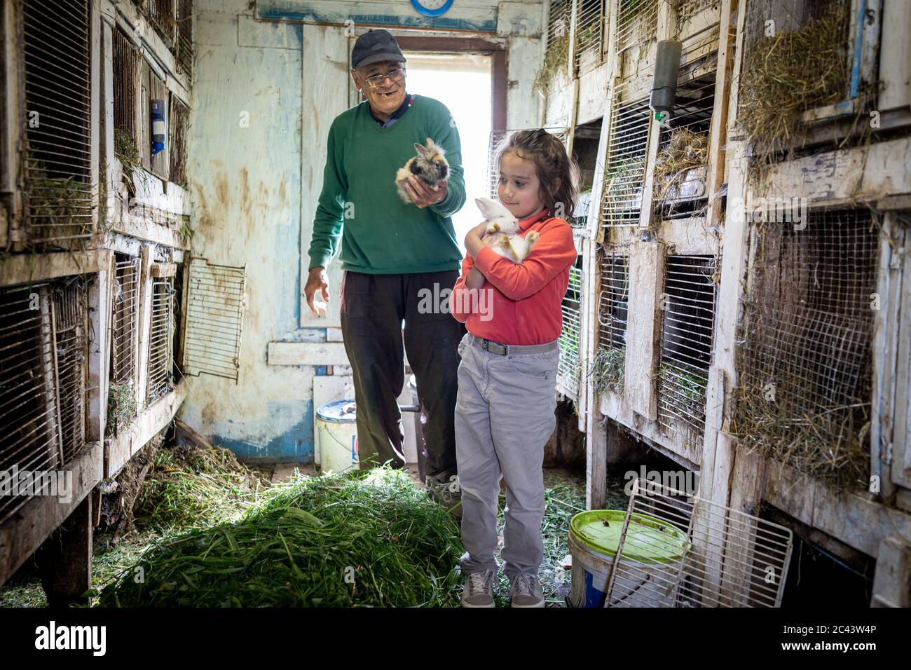 Betreuung von Kaninchen auf kleinem Bauernhof Stockfoto