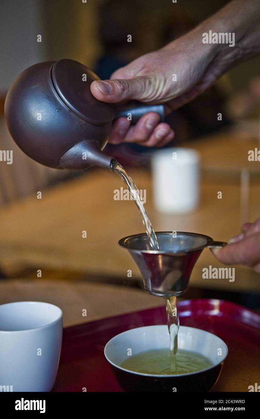 Der Mensch gießt grünen Tee in eine Tasse Stockfoto