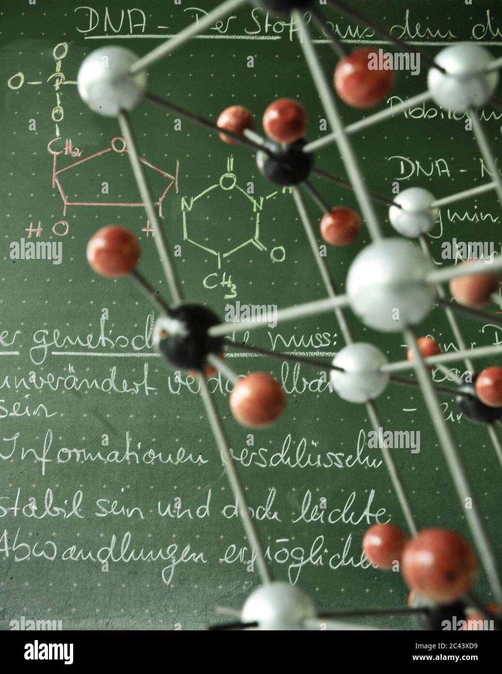 Biochemisches Modell vor einer Tafel Stockfoto