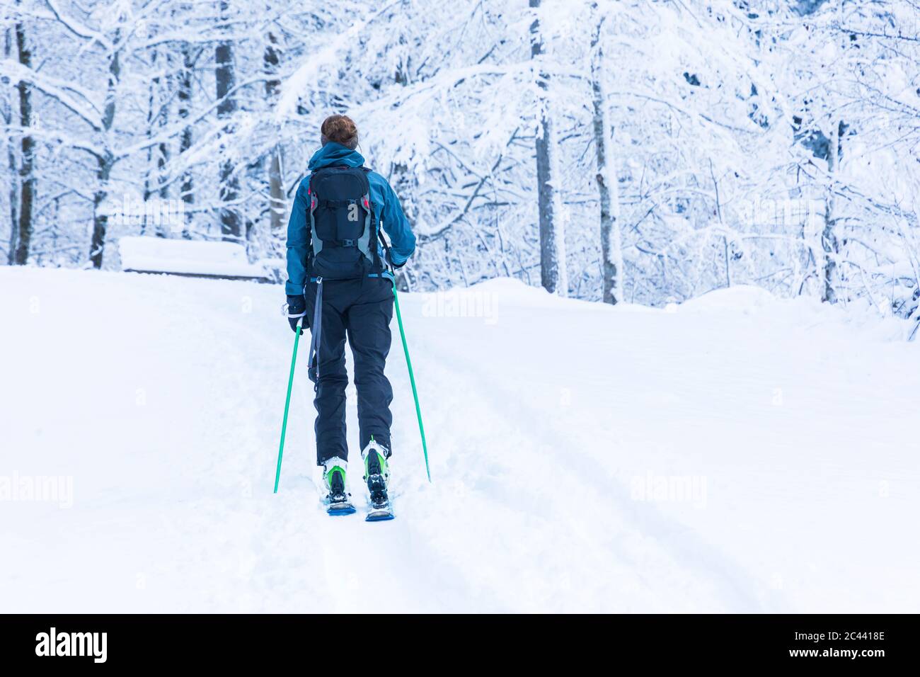 Deutschland, Bayern, Reit im Winkl, Backpacker-Skifahrerin im Winterwald Stockfoto