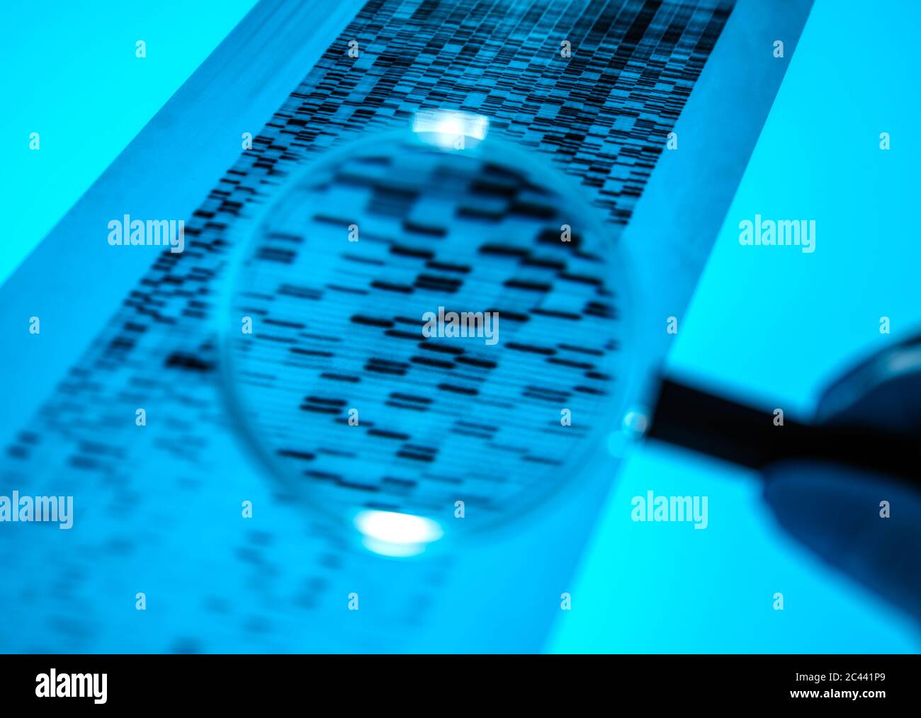 Hand des Wissenschaftlers mit Lupe zu DNA-Sequenzierung Ergebnisdiagramm zu analysieren Stockfoto
