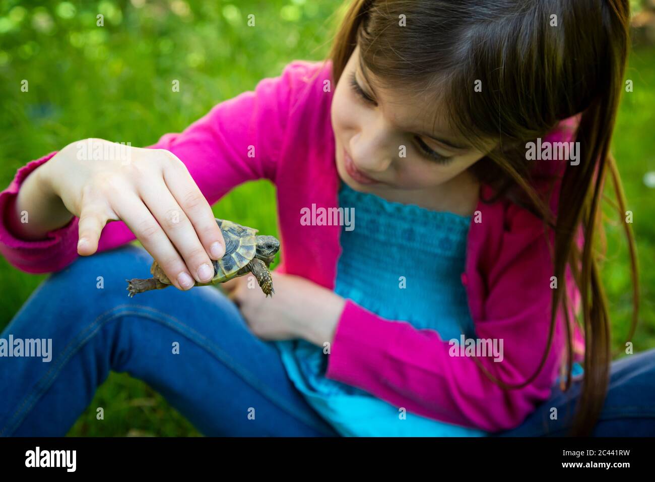 Mädchen auf einer Wiese mit einer kleinen Schildkröte Stockfoto