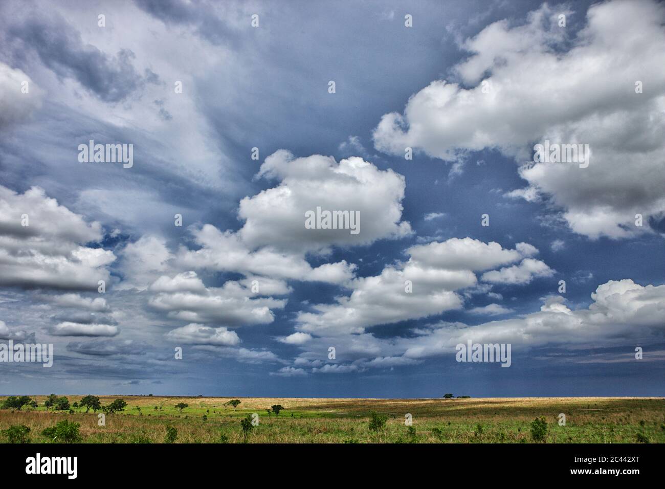 Demokratische Republik Kongo, Weiße Wolken über Savanne im Garamba Nationalpark Stockfoto