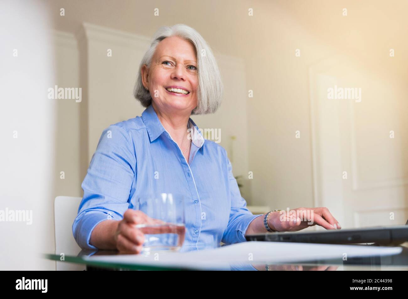 Porträt einer lächelnden Geschäftsfrau, die auf einem Laptop arbeitet Stockfoto