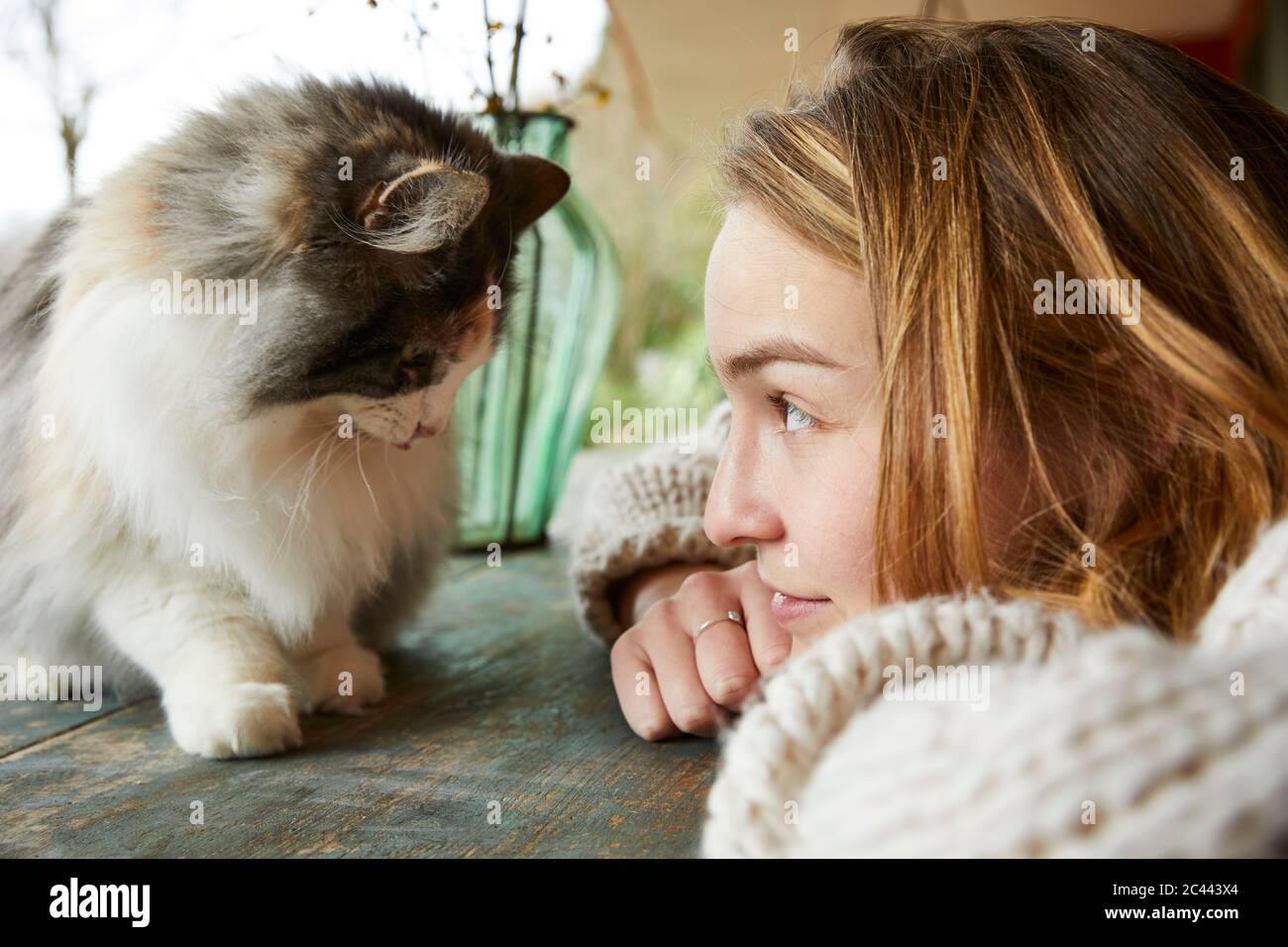 Junge Frau, die im Freien auf einem Holztisch eine norwegische Waldkatze anschaut Stockfoto