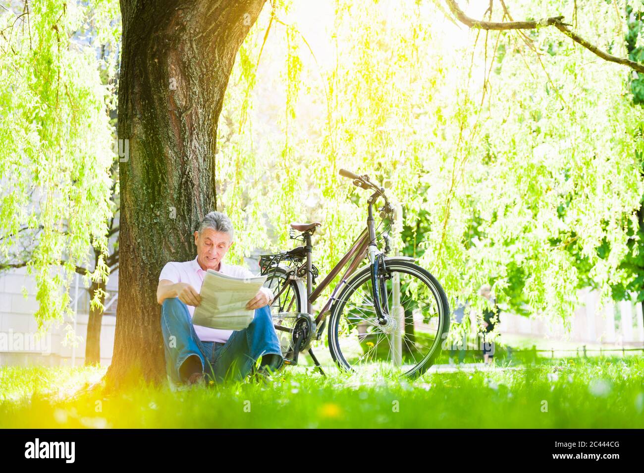 Älterer Mann, der sich in einem Park an einen Baumstamm lehnt und Zeitung liest Stockfoto