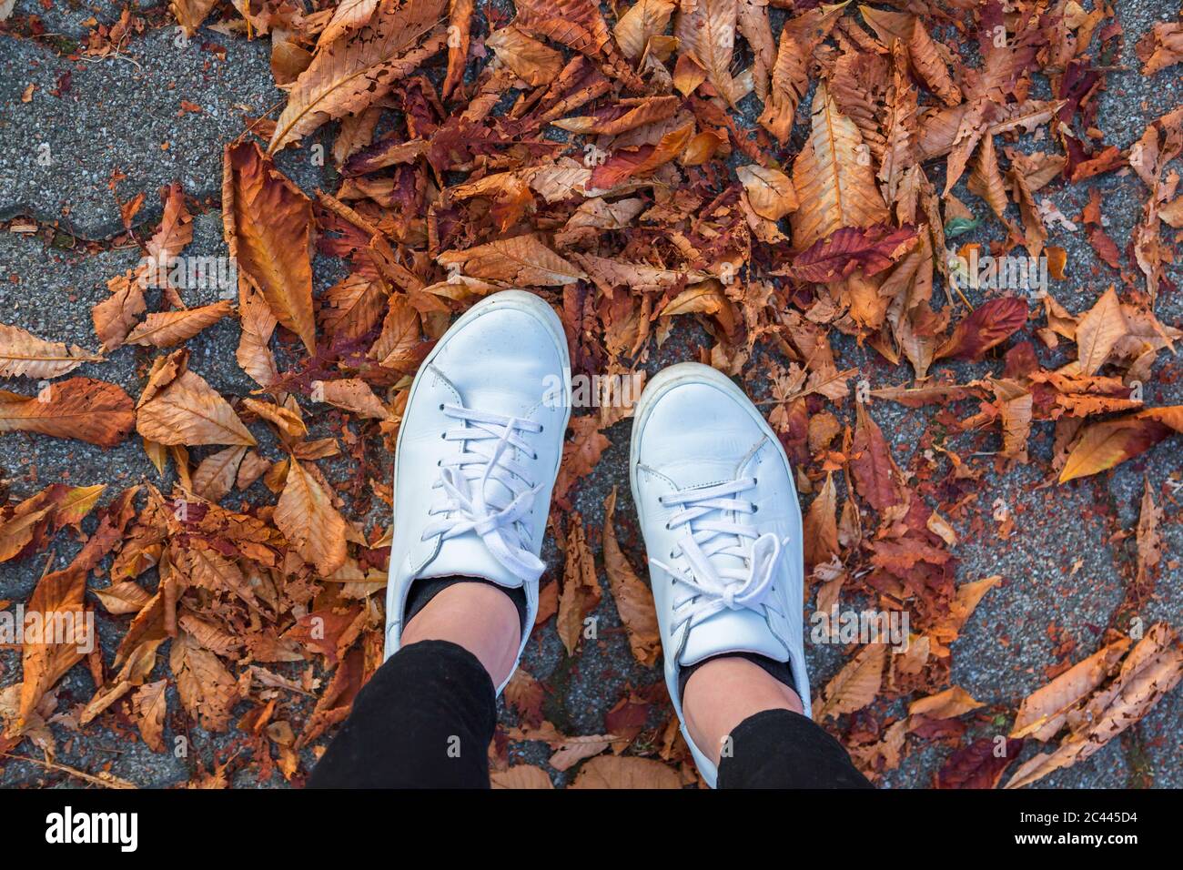 Niedrige Abschnitt der Frau tragen weiße Schuhe stehen auf Blätter im Herbst Stockfoto