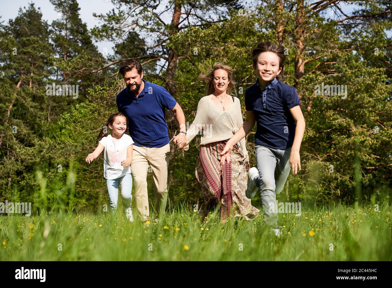 Lächelnde Familie läuft auf Gras gegen Bäume während sonnigen Tag Stockfoto