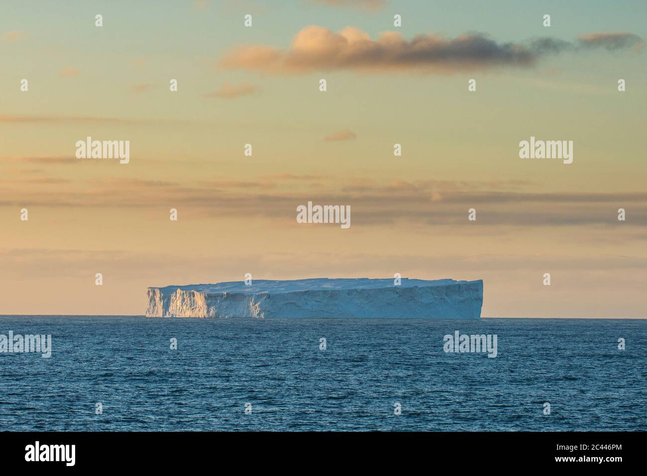 Eisberg schwimmt im südlichen Orkney Inseln Archipel Stockfoto