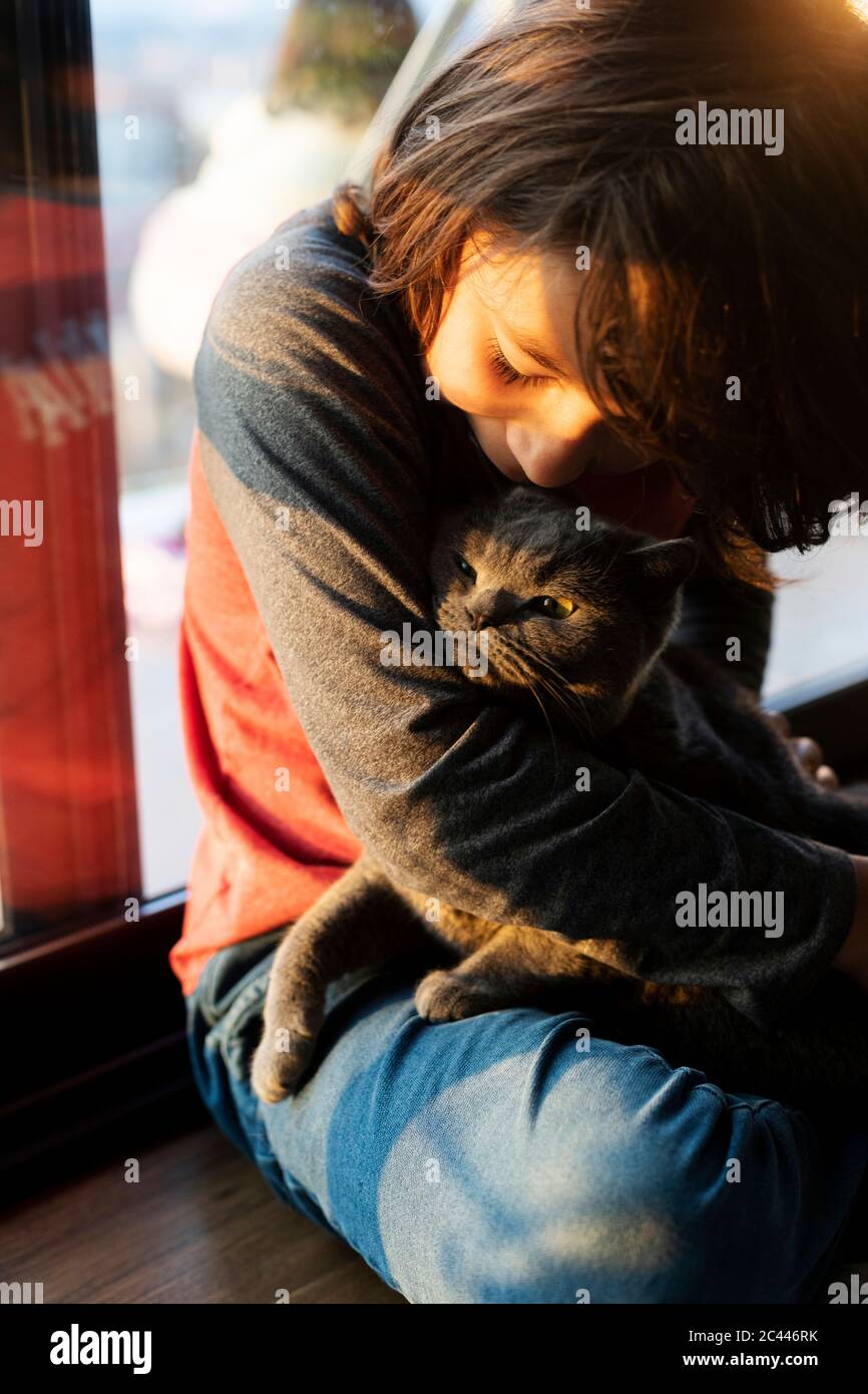 Junge kuscheligen Katze zu Hause Stockfoto