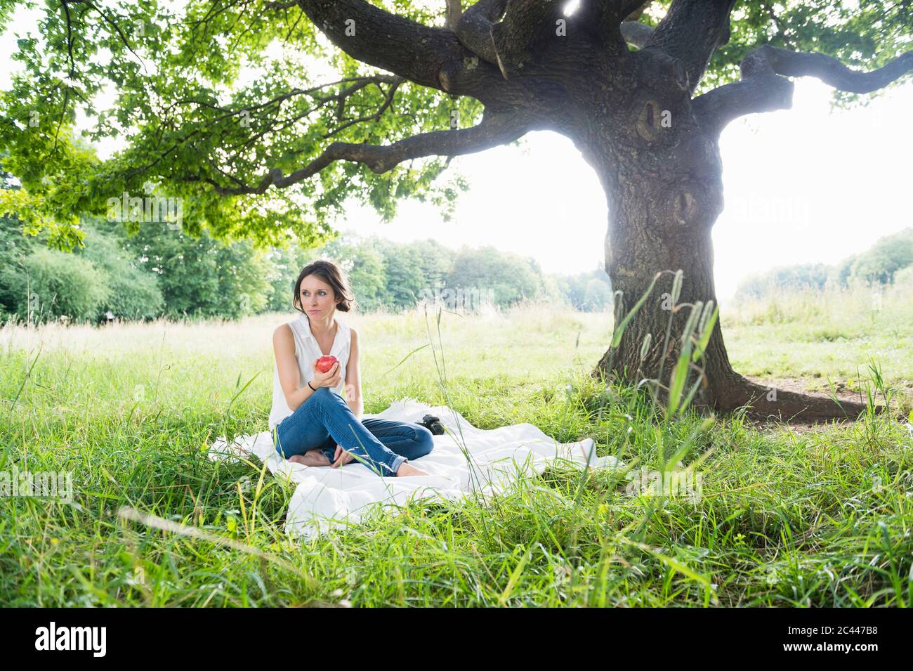 Nachdenkliche junge Frau schaut weg, während sie mit Apfel auf Picknickdecke bei Baum im Park sitzt Stockfoto