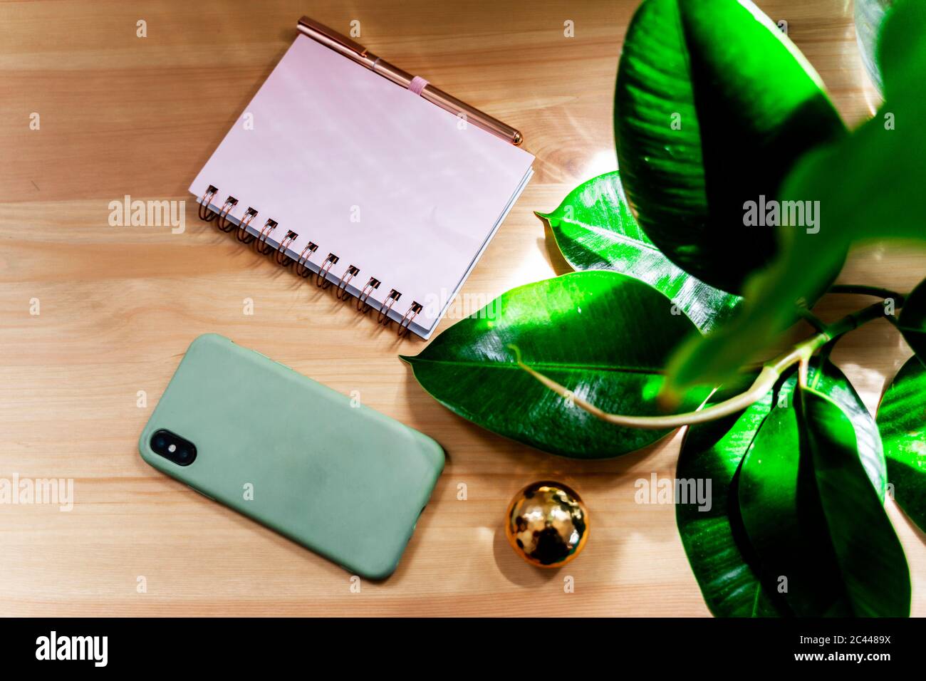 Smartphone mit Tagebuch und goldener Kugel von Pflanze auf Schreibtisch zu Hause Stockfoto