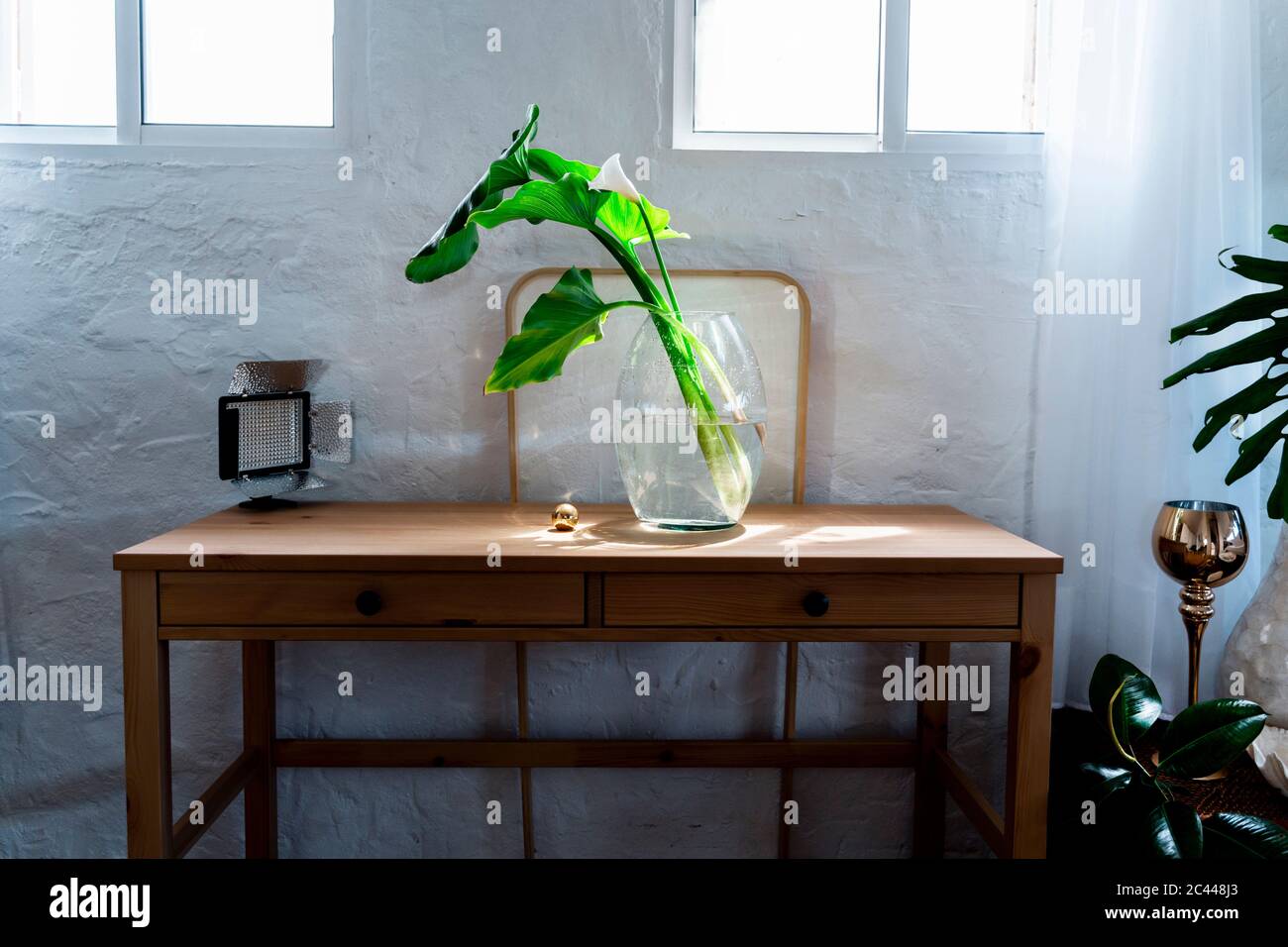 Pflanzen Sie in Glasvase von Golden Ball auf Holztisch im Schlafzimmer zu Hause Stockfoto