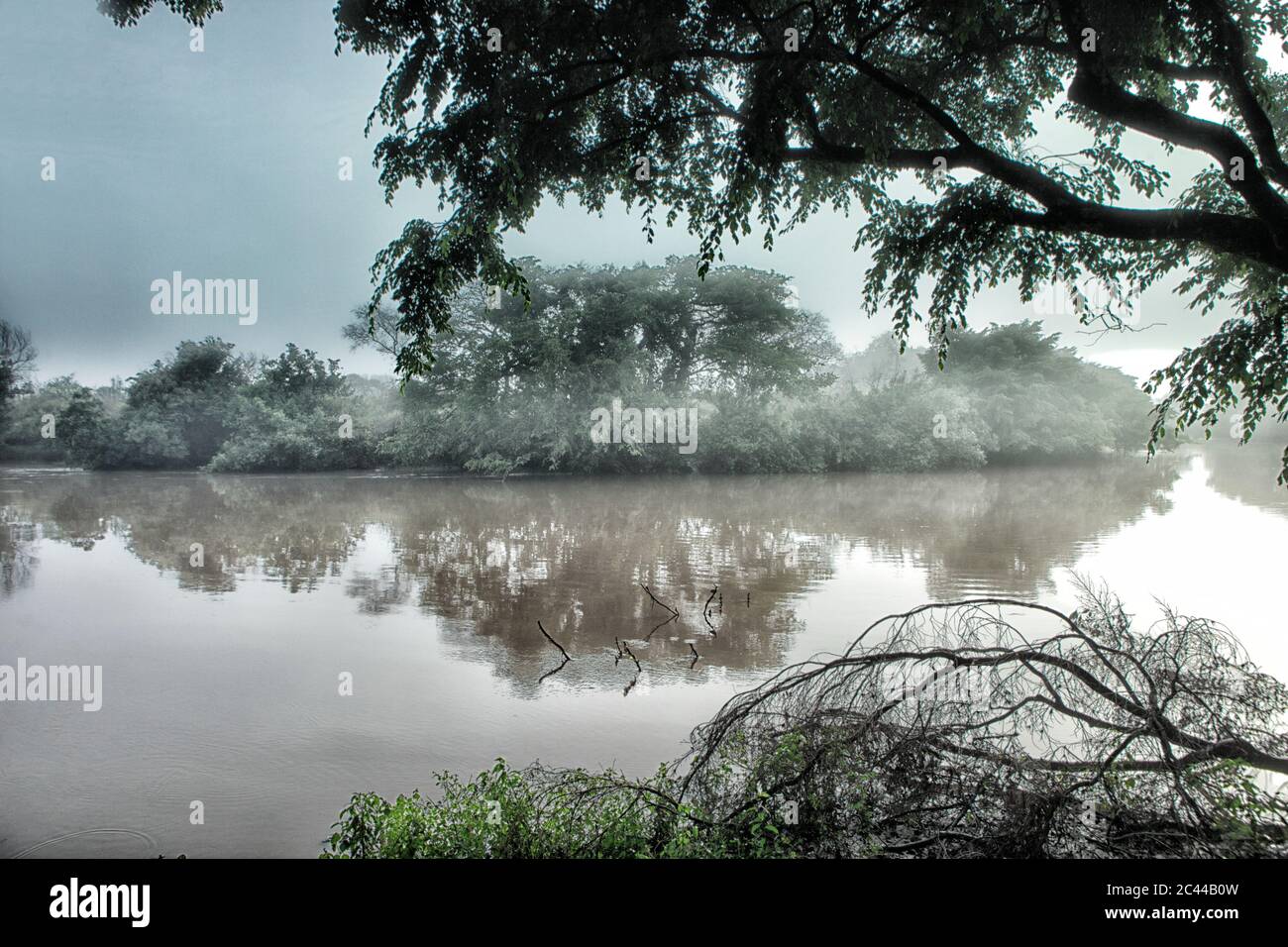 Demokratische Republik Kongo, Garamba Fluss bei nebliger Morgendämmerung Stockfoto
