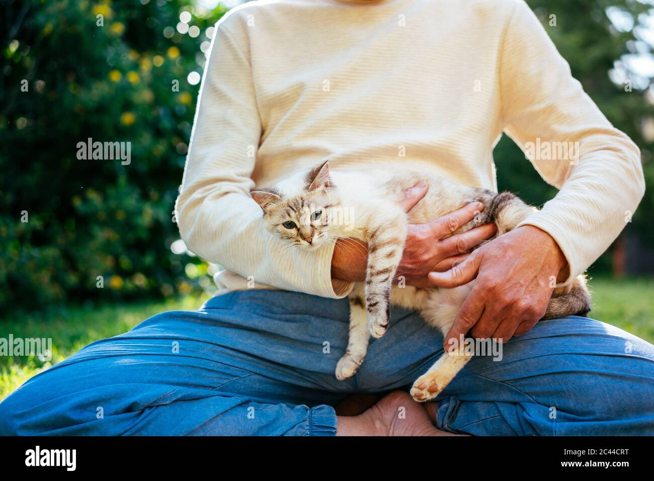 Älterer Mann kuschelt mit seiner Katze im Garten Stockfoto