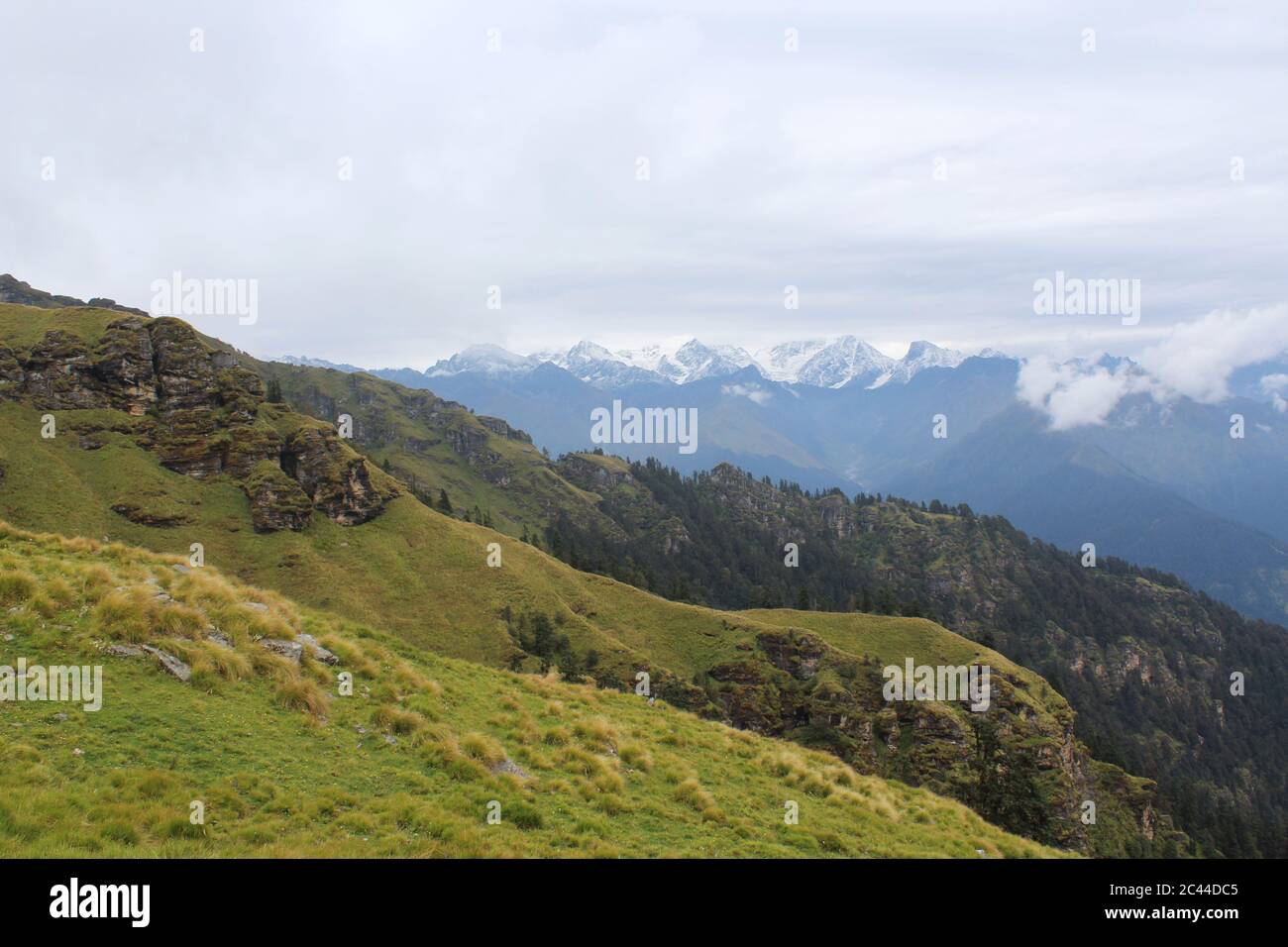 Ein grünes Tal und schneebedeckte Berge. Stockfoto