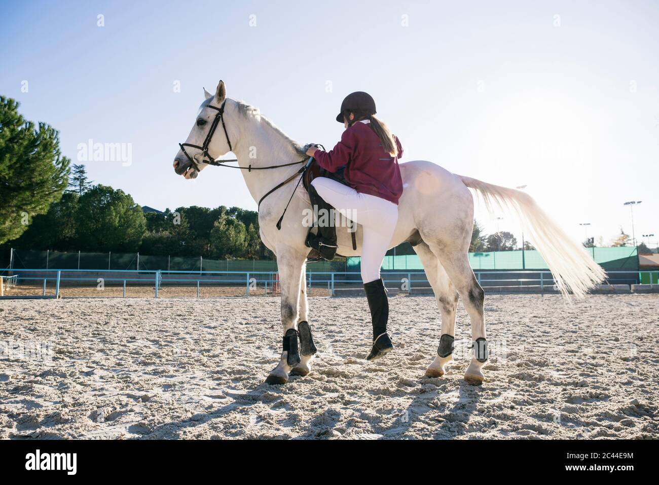 Volle Länge des Mädchens Montage auf weißem Pferd auf Ranch während sonnigen Tag Stockfoto