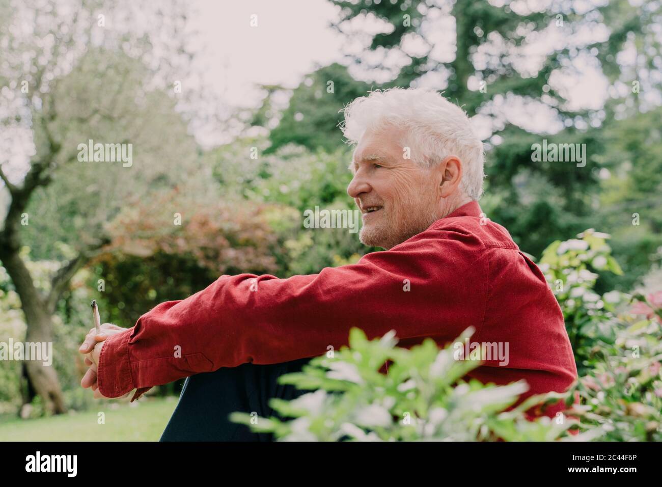 Seitenansicht eines älteren Mannes, der sich entspannt, während er mit Marihuana-Gelenk im Obstgarten sitzt Stockfoto