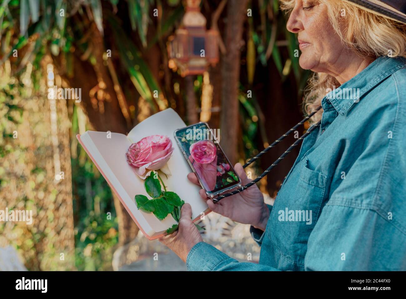 Ältere Frau mit Buch, Rosenblüte und Smartphone mit Foto der Rosenblüte im Garten Stockfoto