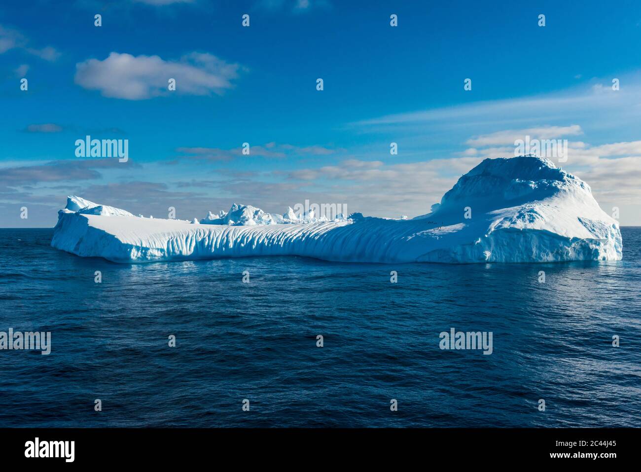 Eisberg schwimmt im südlichen Orkney Inseln Archipel Stockfoto